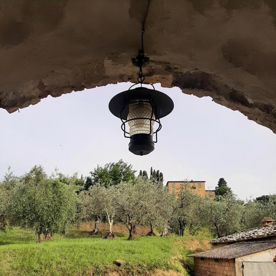 Casa Zeno Daire Volterra Dış mekan fotoğraf