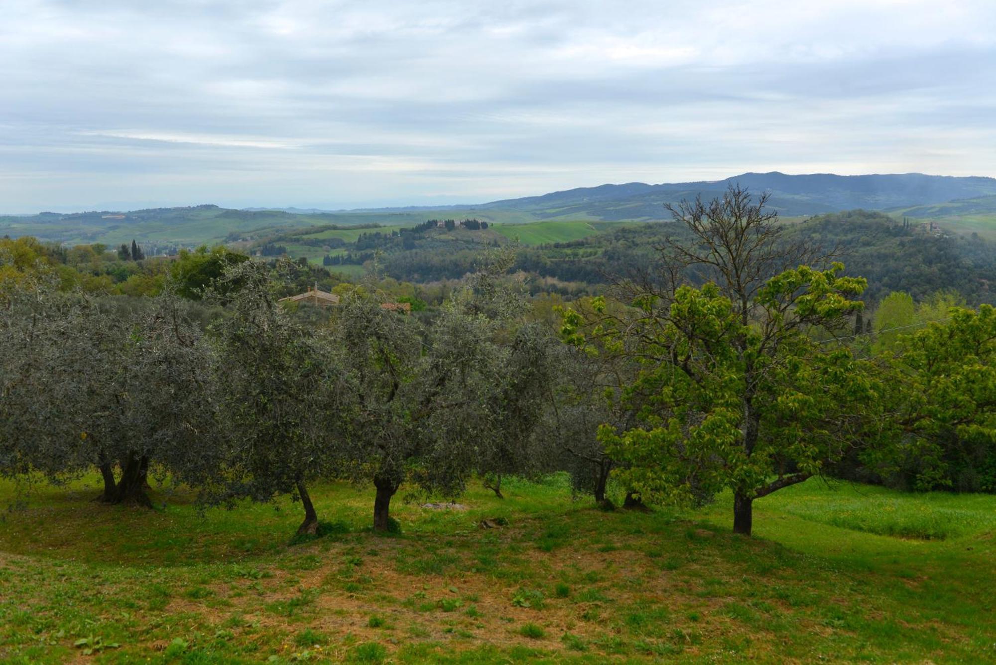Casa Zeno Daire Volterra Dış mekan fotoğraf